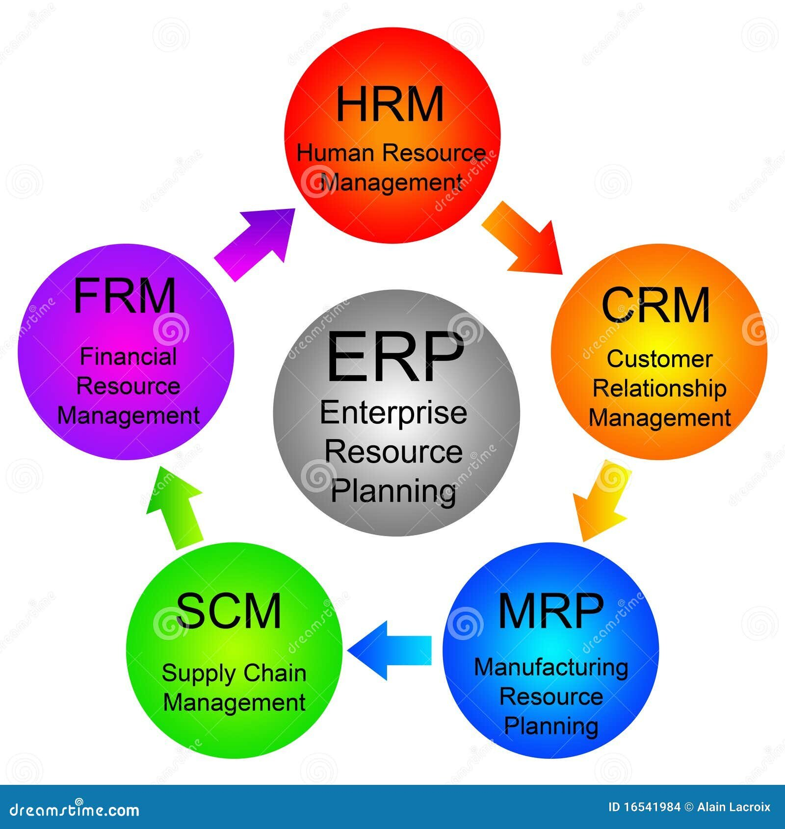 Ecommerce Erp Software